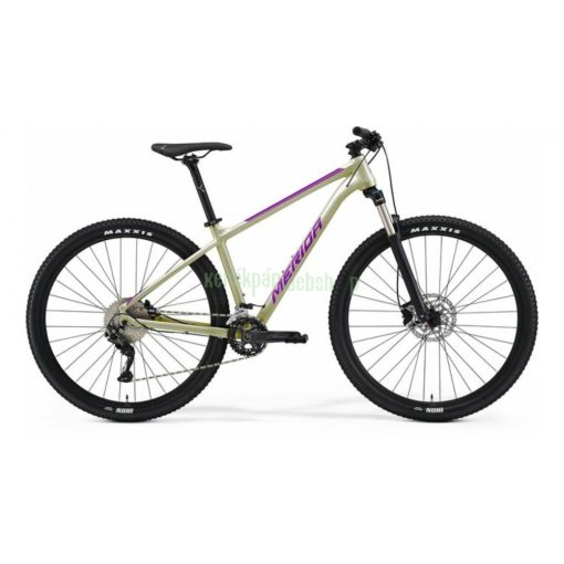 Merida 2022 BIG.NINE 300 férfi Mountain Bike selyem pezsgő (lila) L