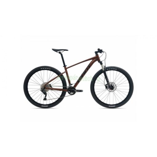 Giant Talon 29 1 (GE) 2022 férfi Mountain Bike hematite XXL